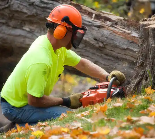 tree services Dimondale